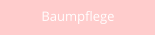 Baumpflege
