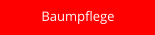 Baumpflege